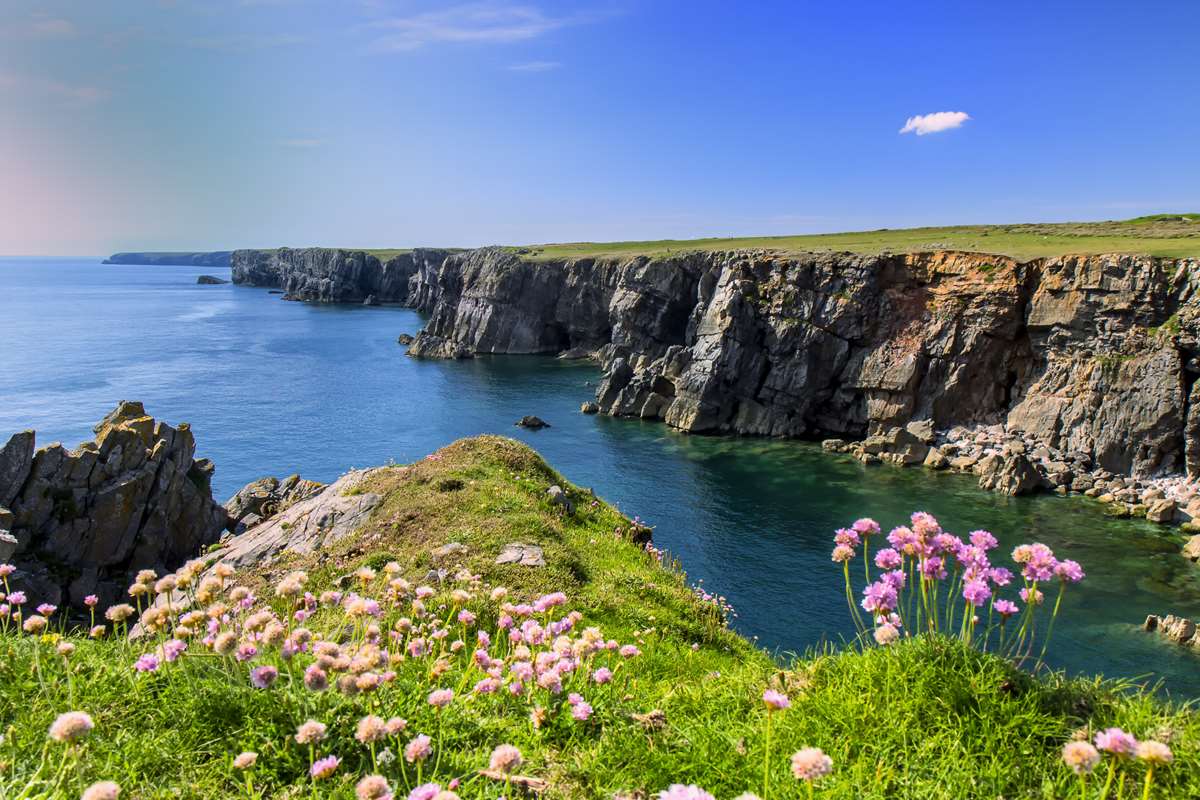Enjoy green travel in the Pembrokeshire coast