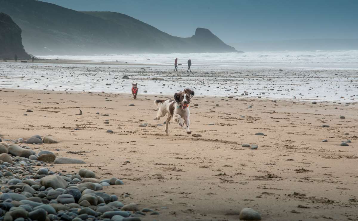 Newgale Beach