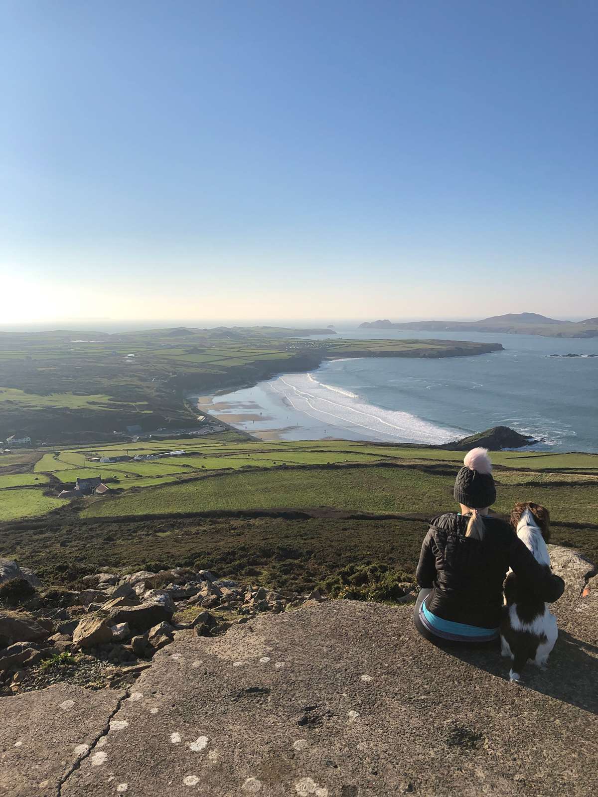 Stanley the dog at Whitesands in Pembrokeshire