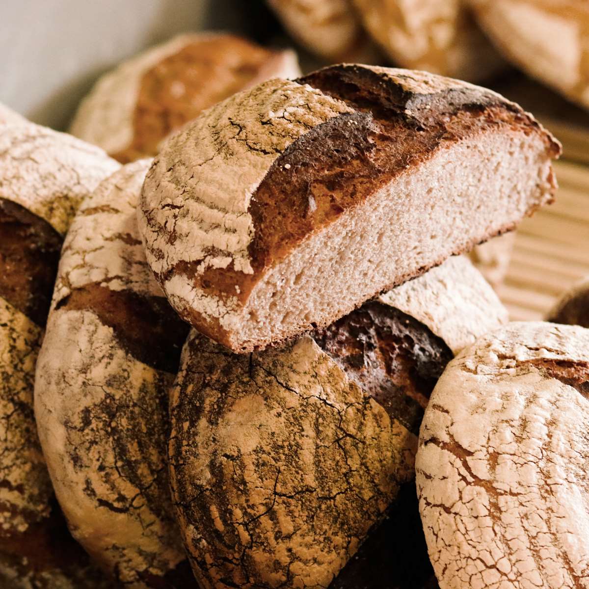 Bakeries in Pembrokeshire