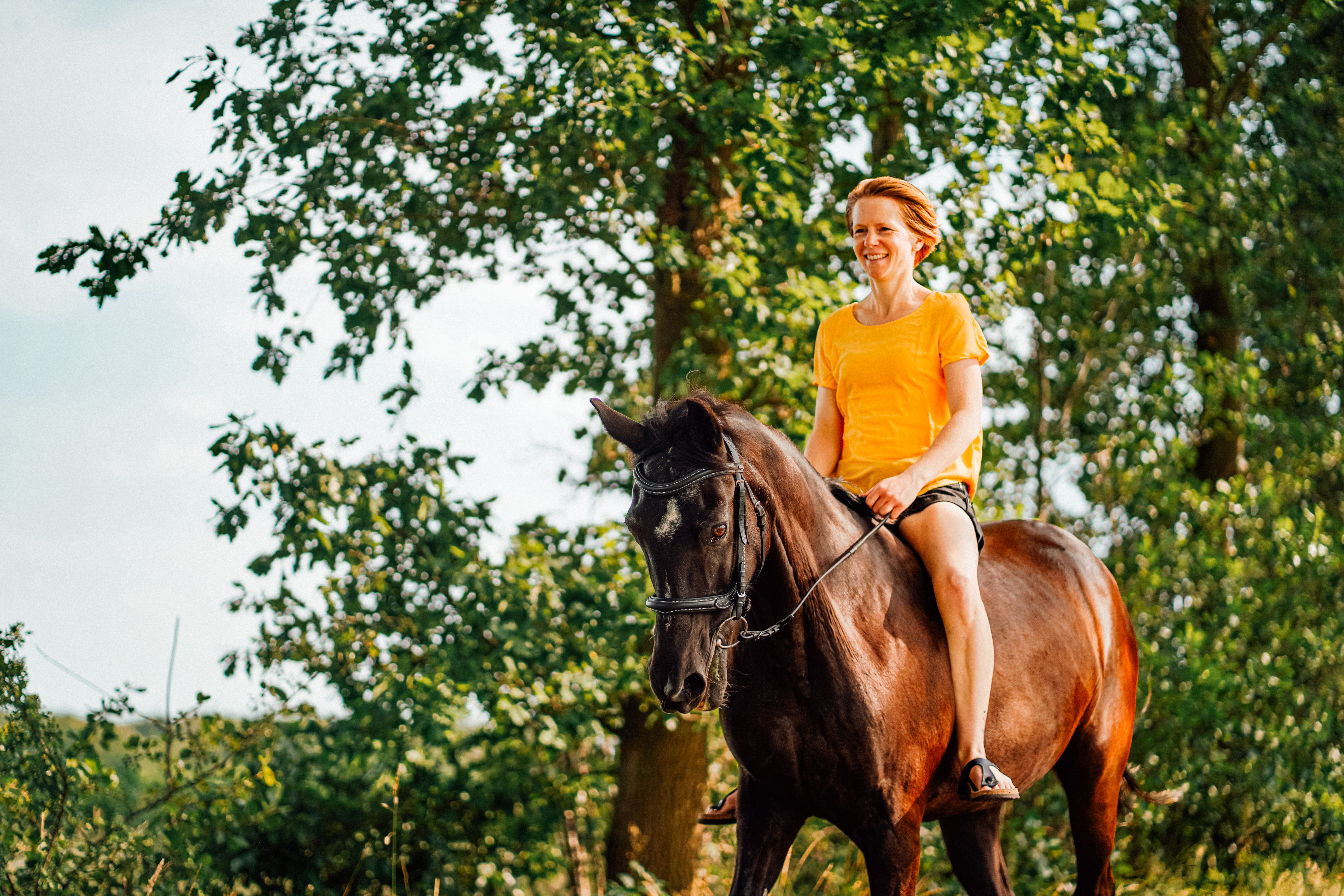 Horse Riding