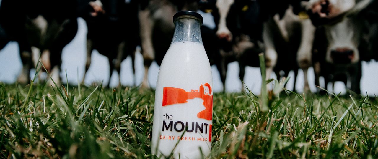 The Mount Milk bottle with cows
