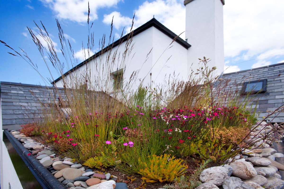Bangeston Farmhouse Holiday Let in Pembrokeshire
