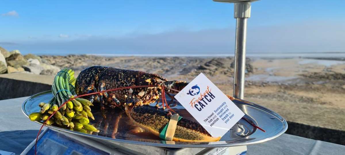 Freshest Catch Pembrokeshire Seafood Produce