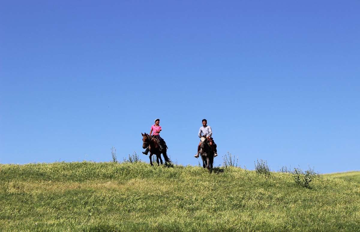 Horse Riding in Pembrokeshire