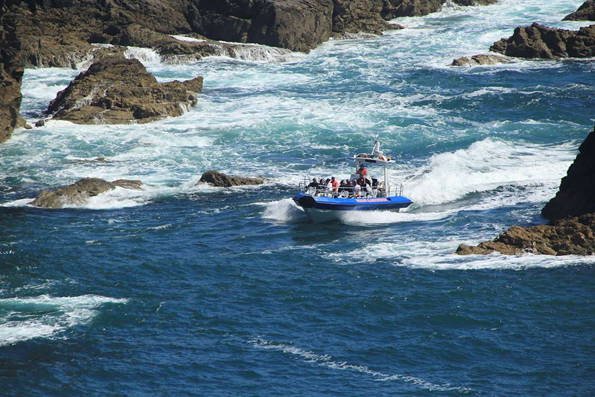 Jet boat trip in Pembrokeshire