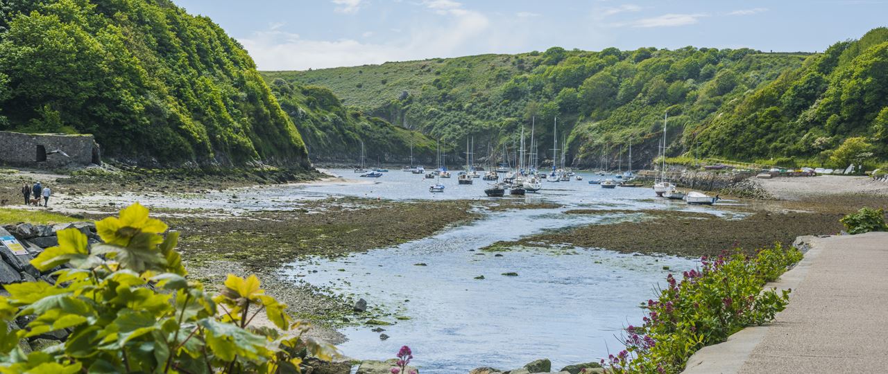 Solva Harbour