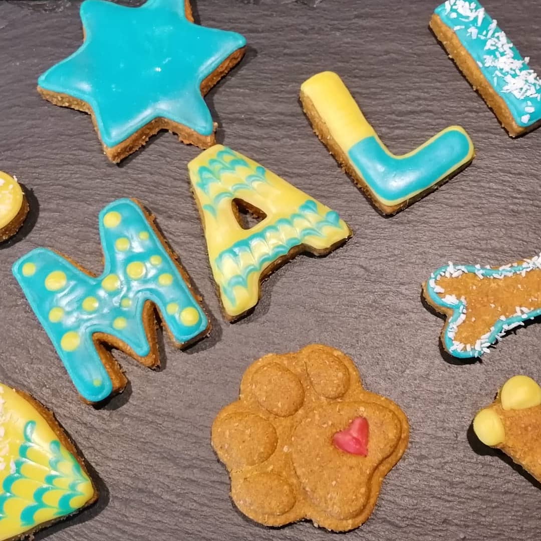 Dog Safe Cookie Box