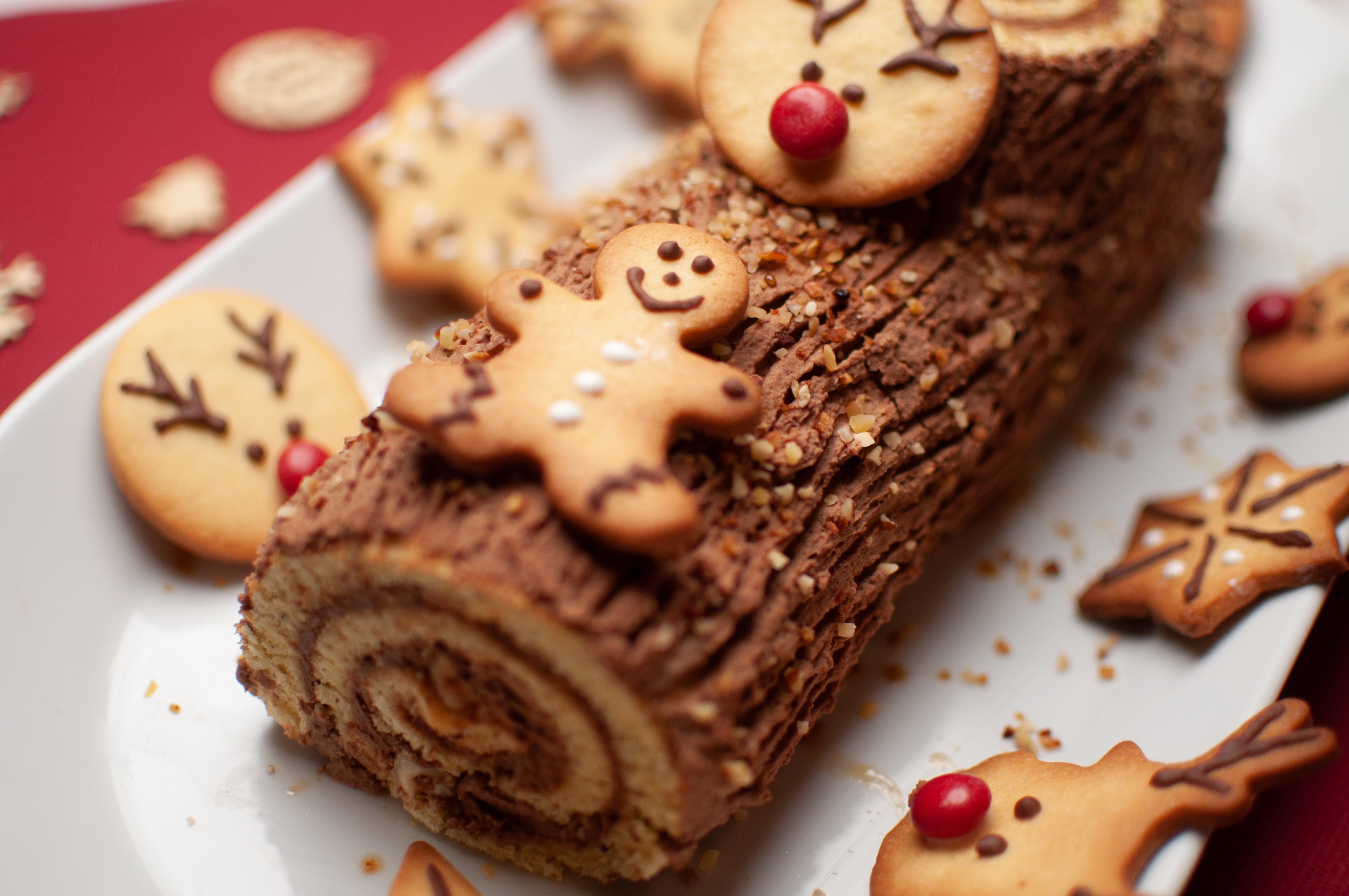 Festive Yule Log