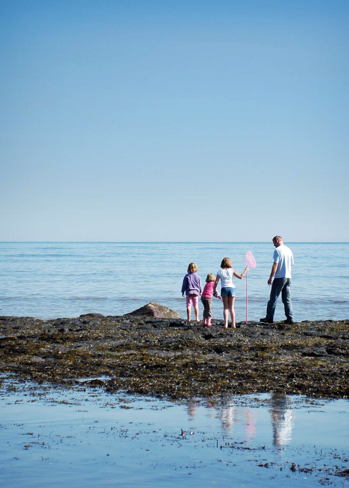 Rock pooling in Pembrokeshire