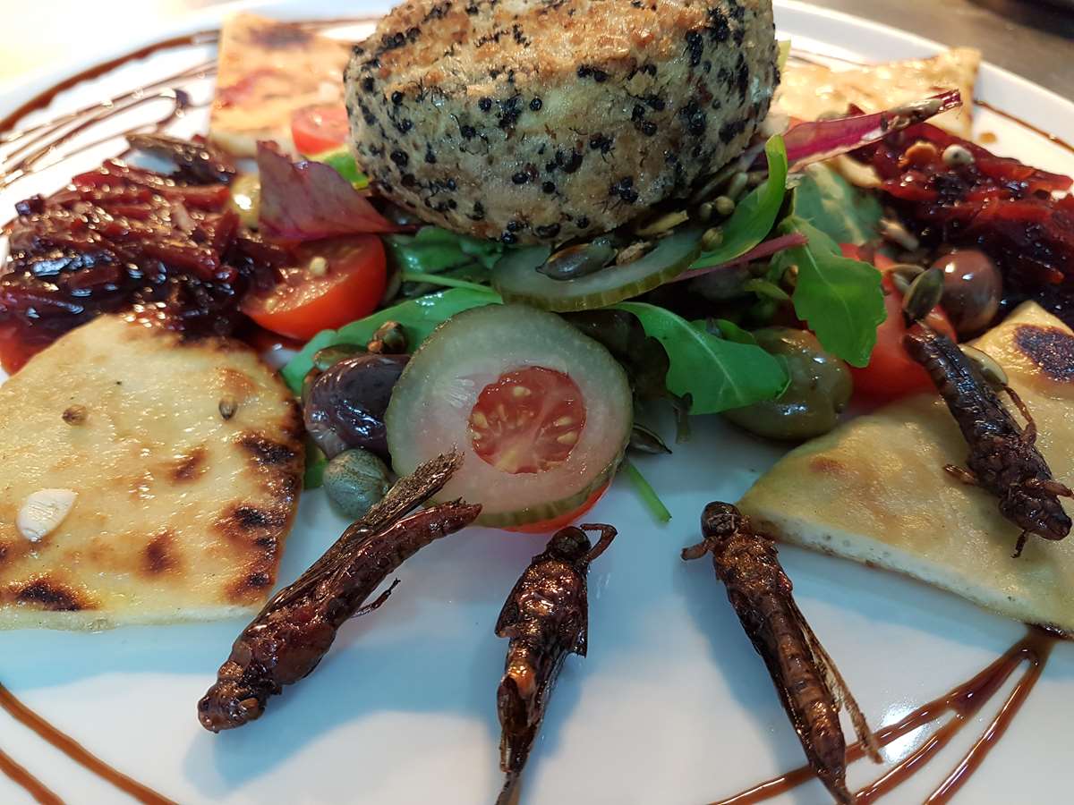 The Grub Kitchen in St Davids