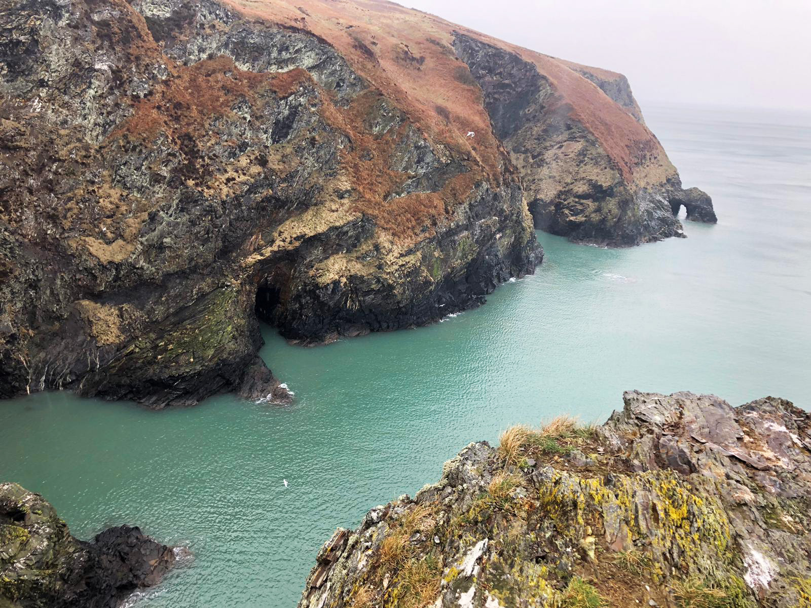 St Dogmaels to Newport Sands