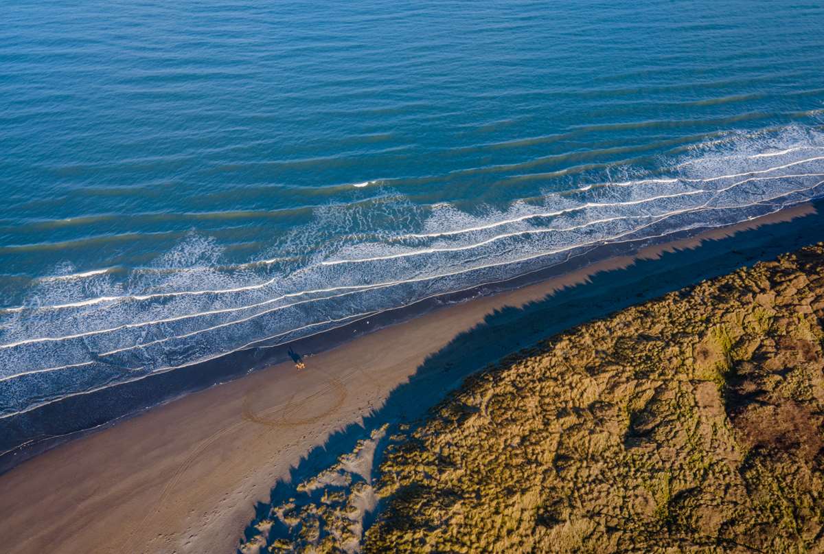 Newport Sands