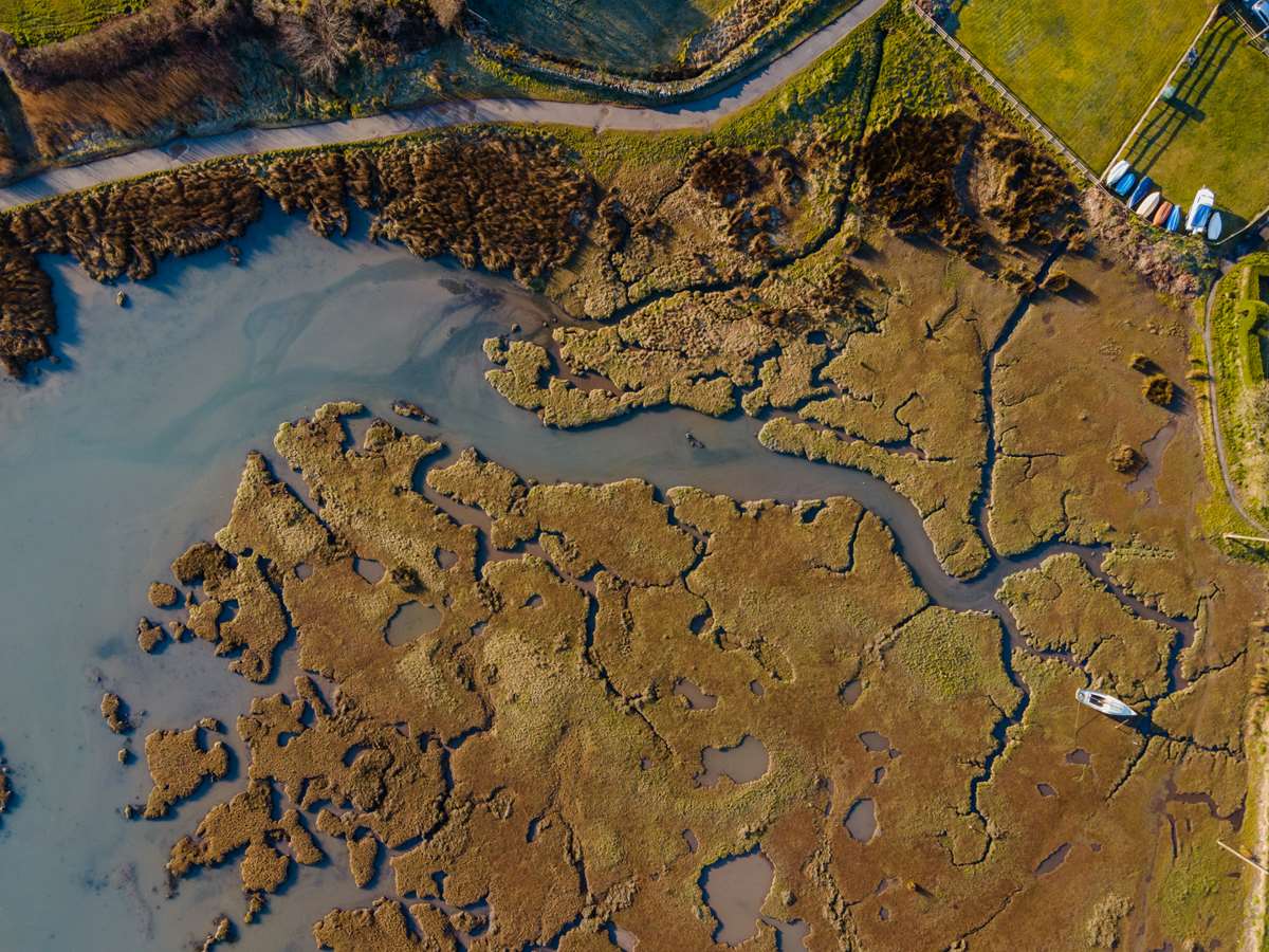 Newport Estuary
