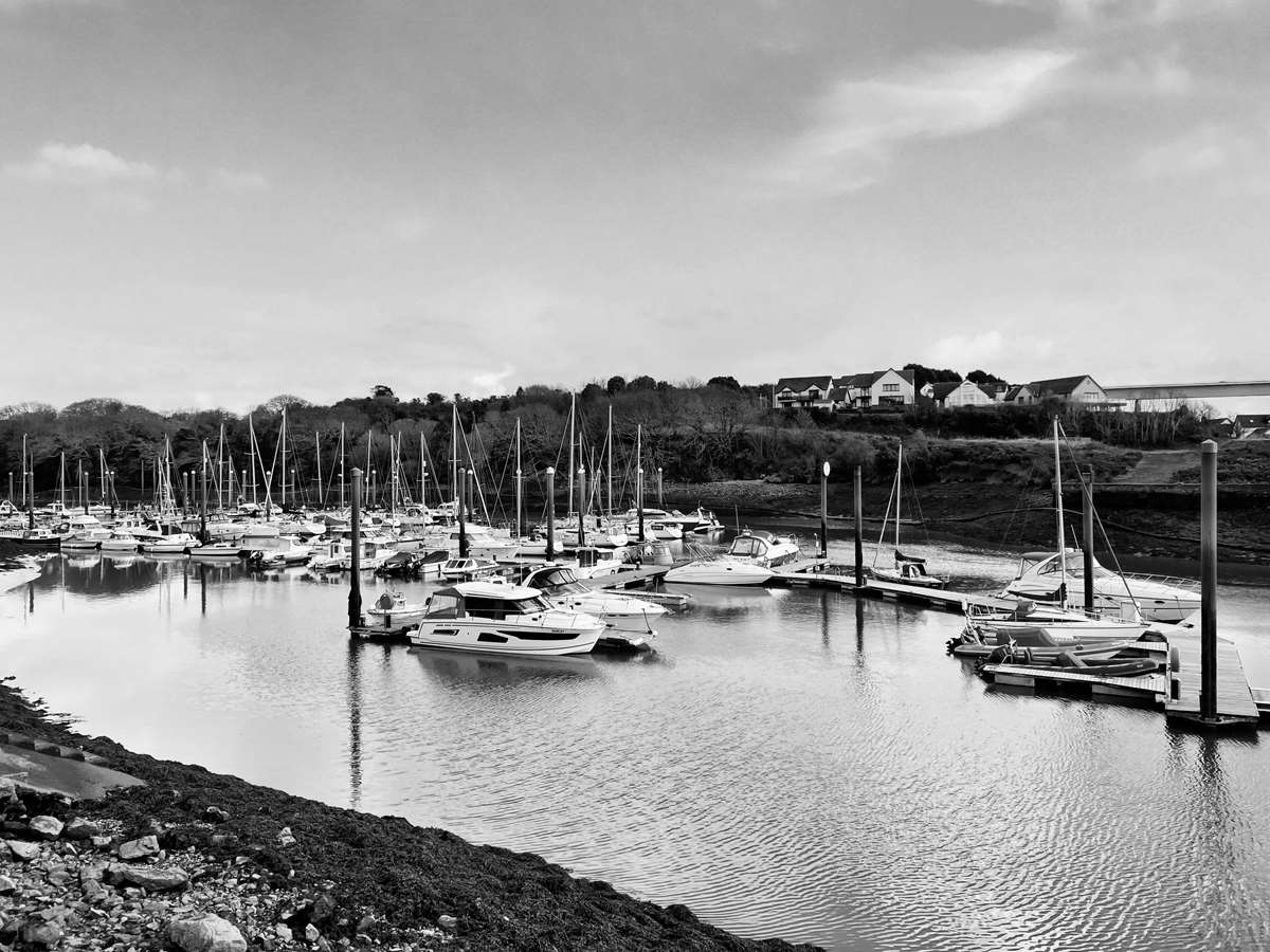 Neyland Marina in Pembrokeshire