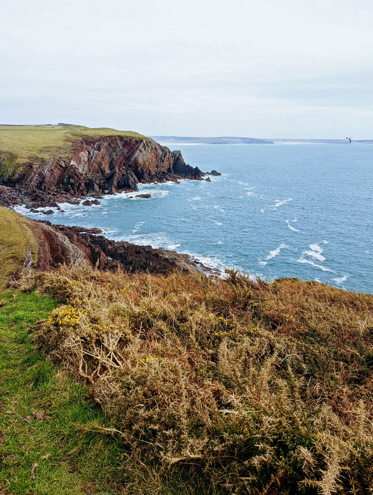 Pembrokeshire Coast Path views during our Walk All Over Cancer challenge