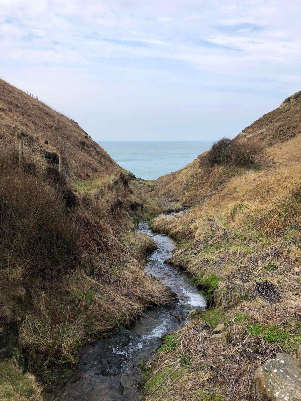 Pembrokeshire Coast Path near St Dogmaels