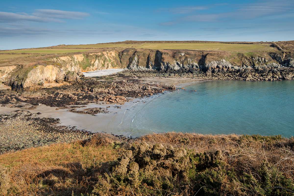 Porthlysgy Beach near St Davids