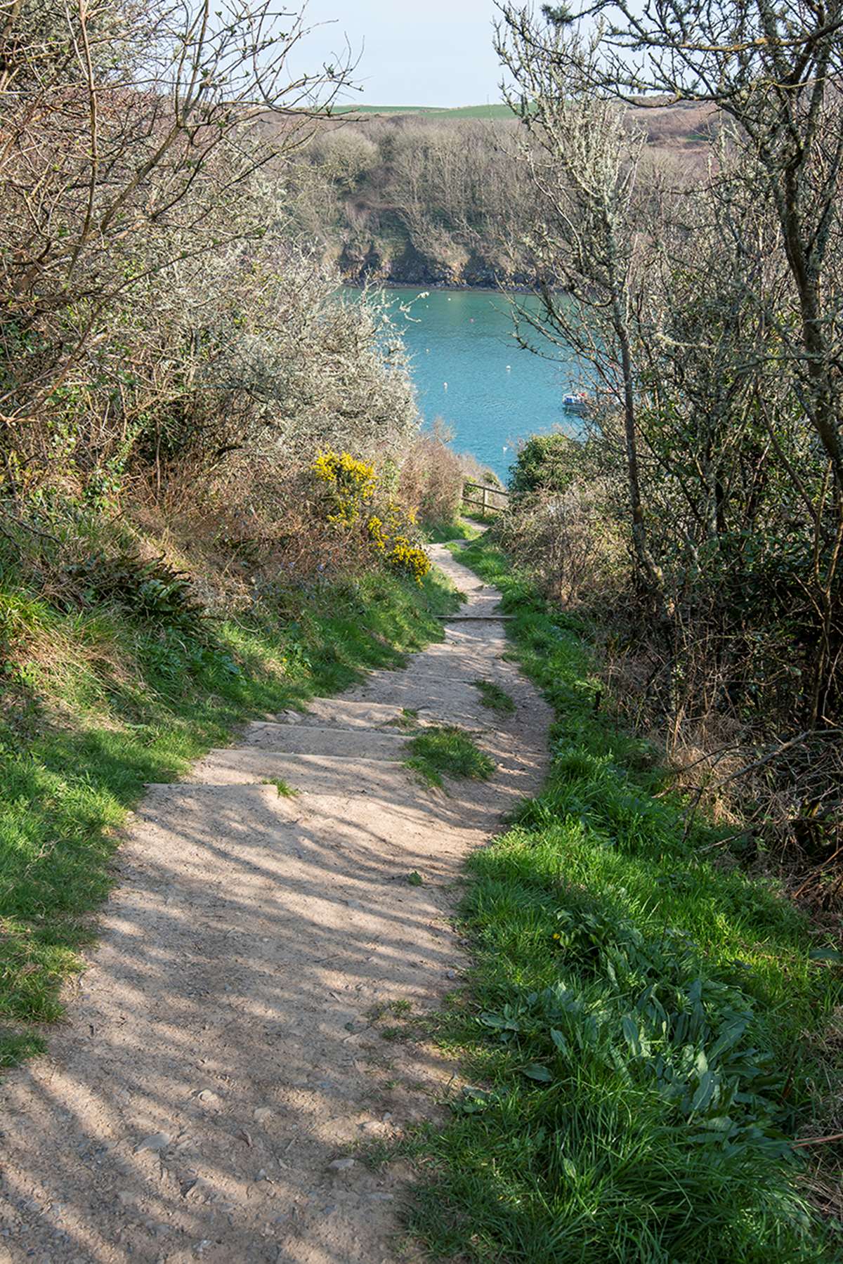 The Pembrokeshire Coast Path into Solva