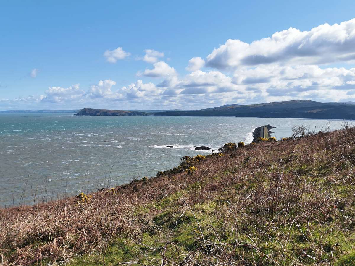 The Coast Path near Goodwick