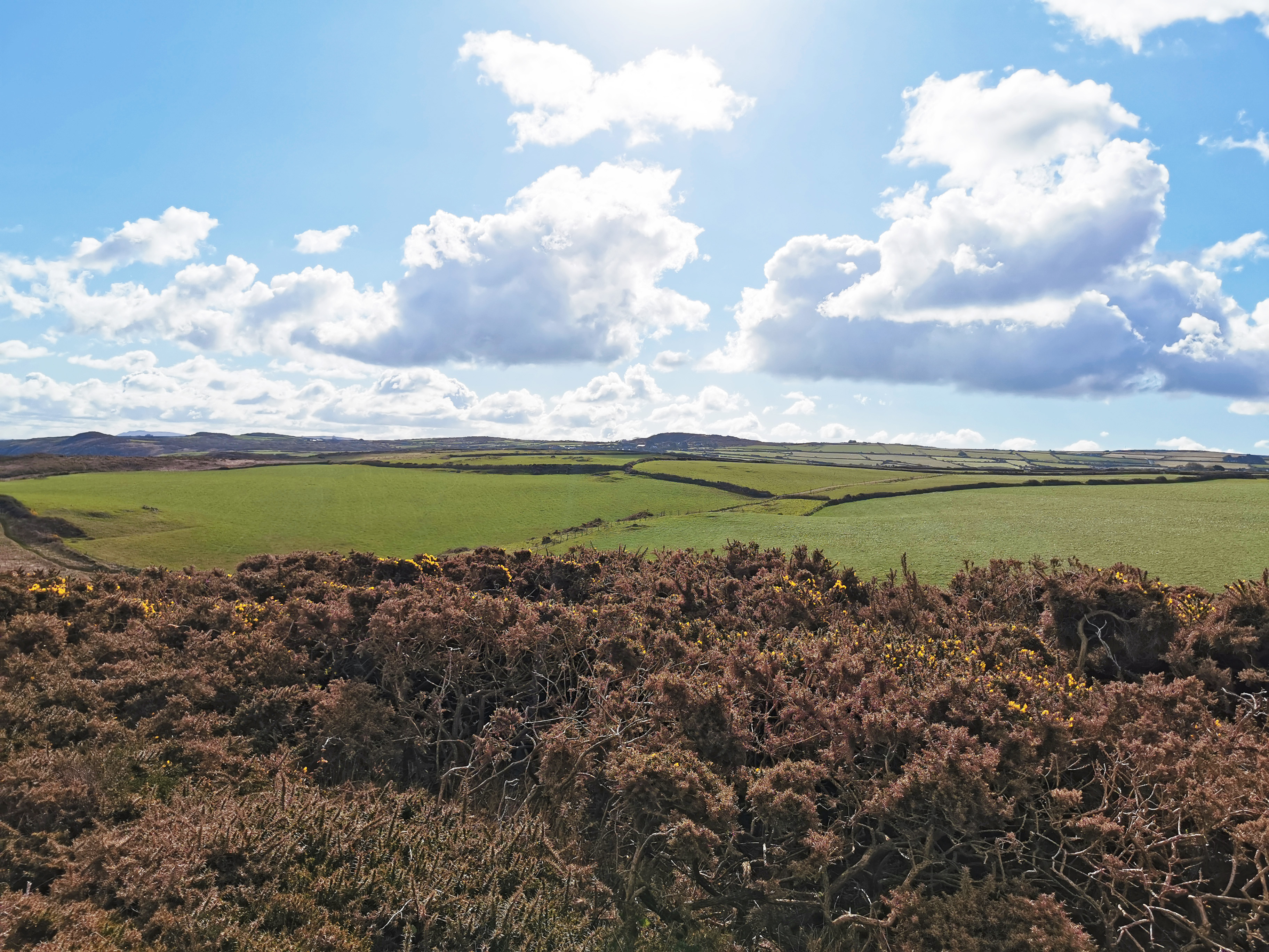 Goodwick to Strumble Head