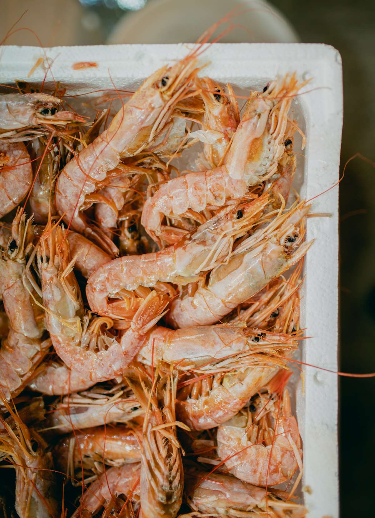 Seafood