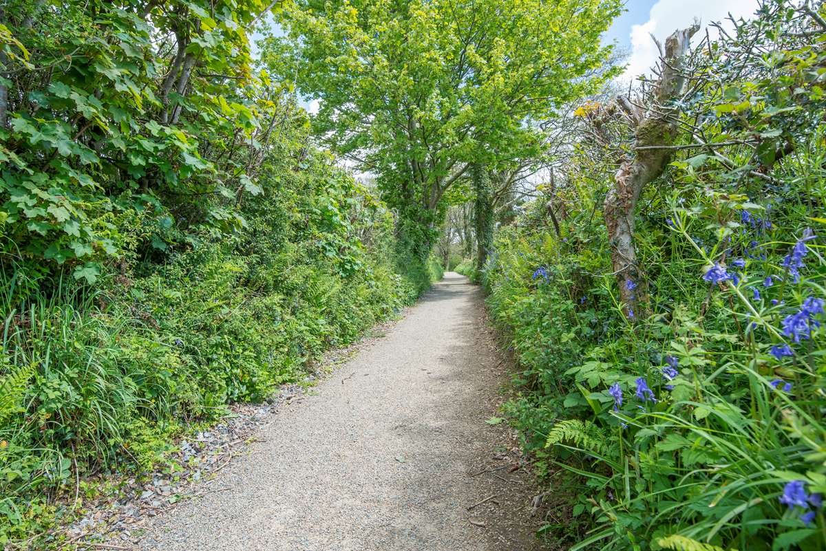 Narberth in Pembrokeshire
