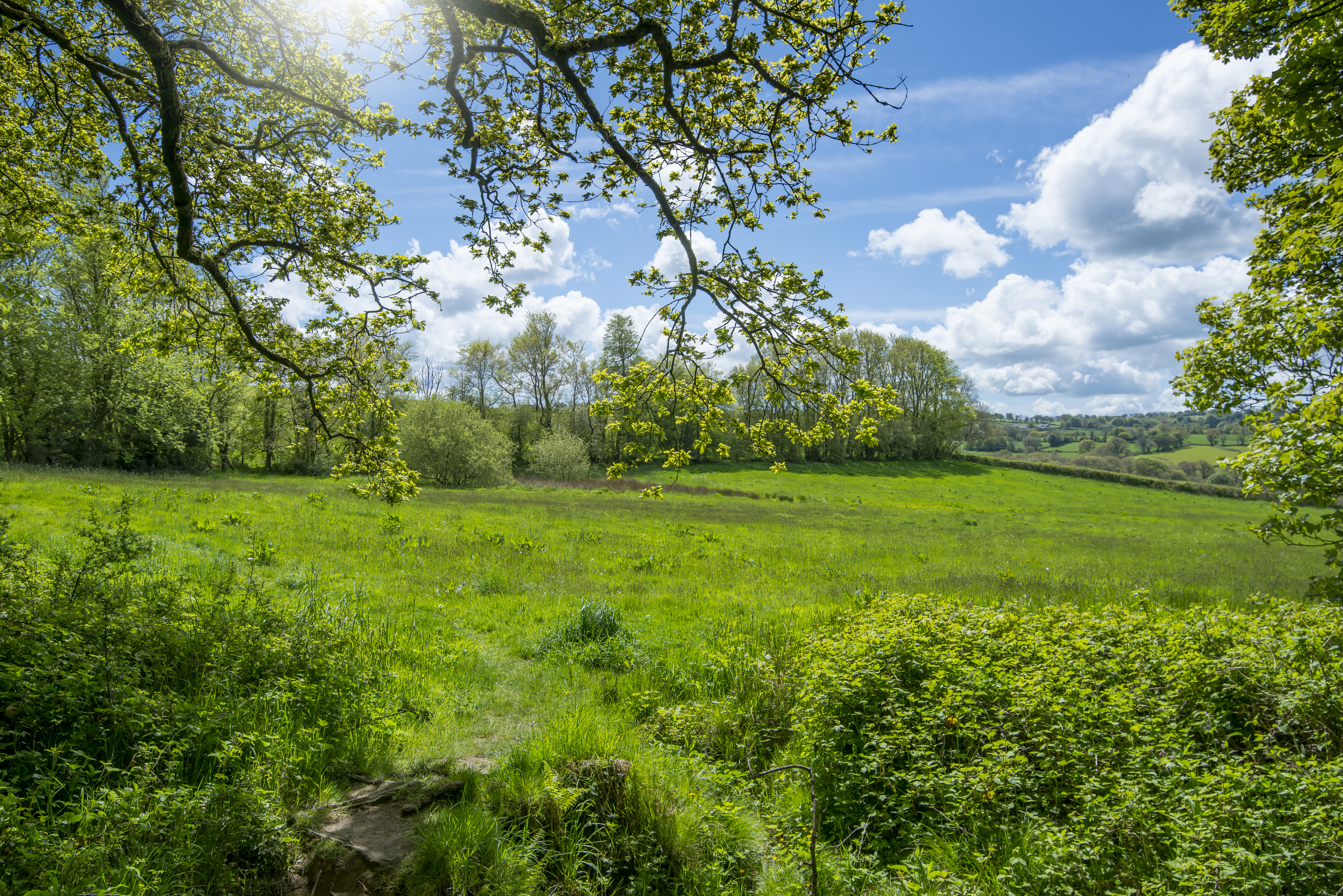 Countryside Escapes in Pembrokeshire