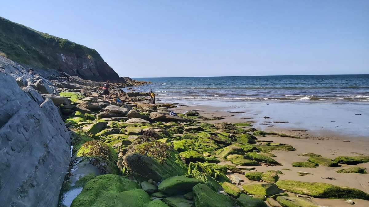 Abermawr Beach