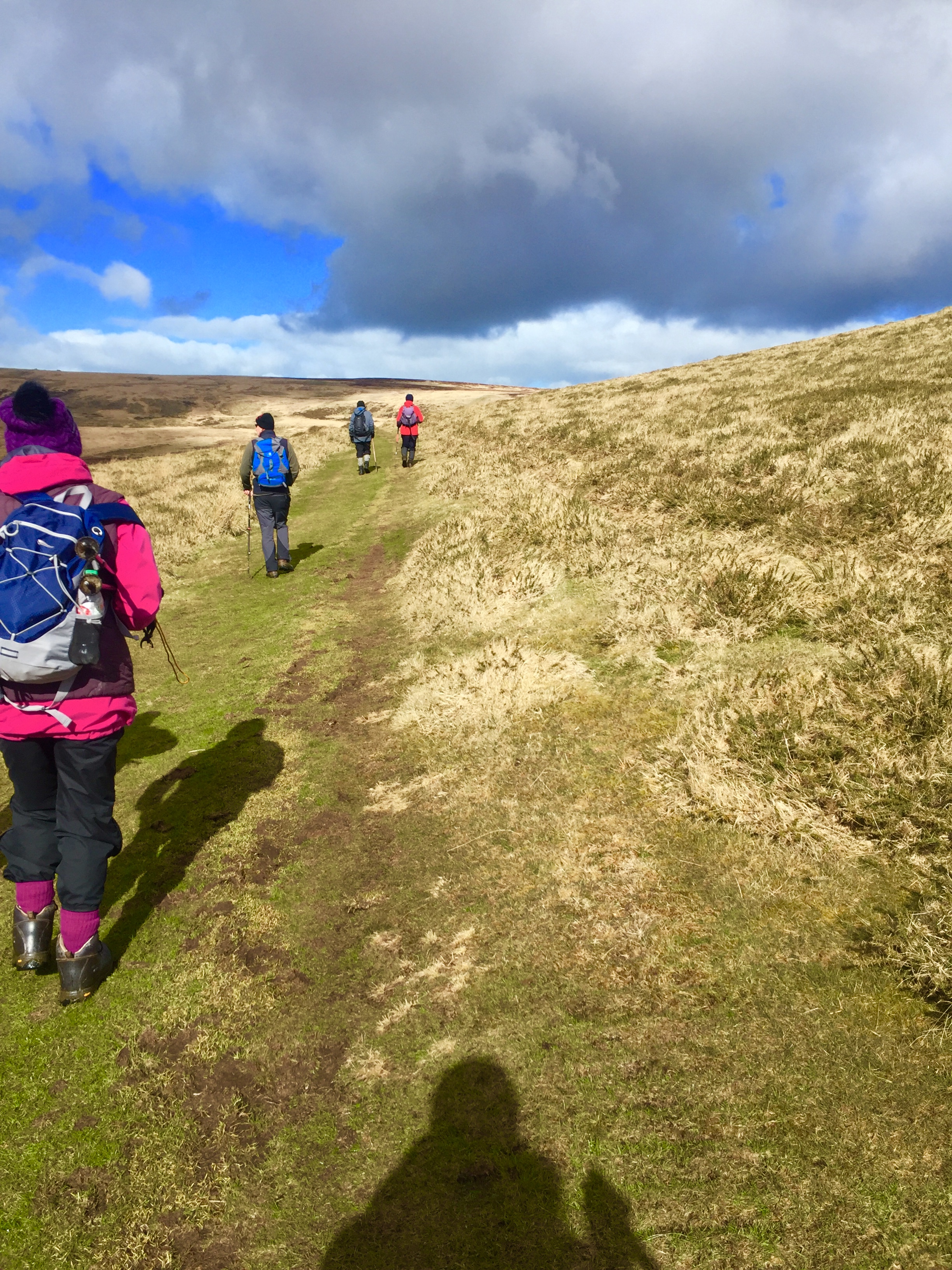 Pembrokeshire Guided Walk Experiences