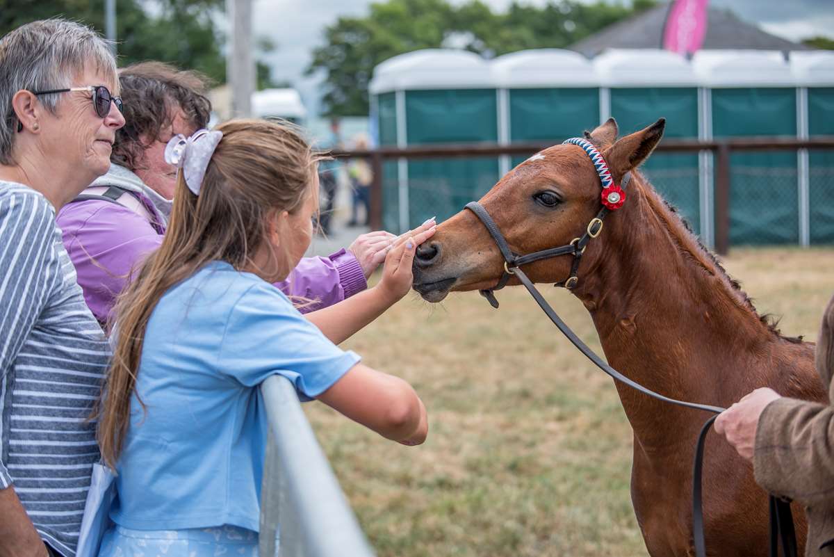 Pembrokeshire County Show 2022