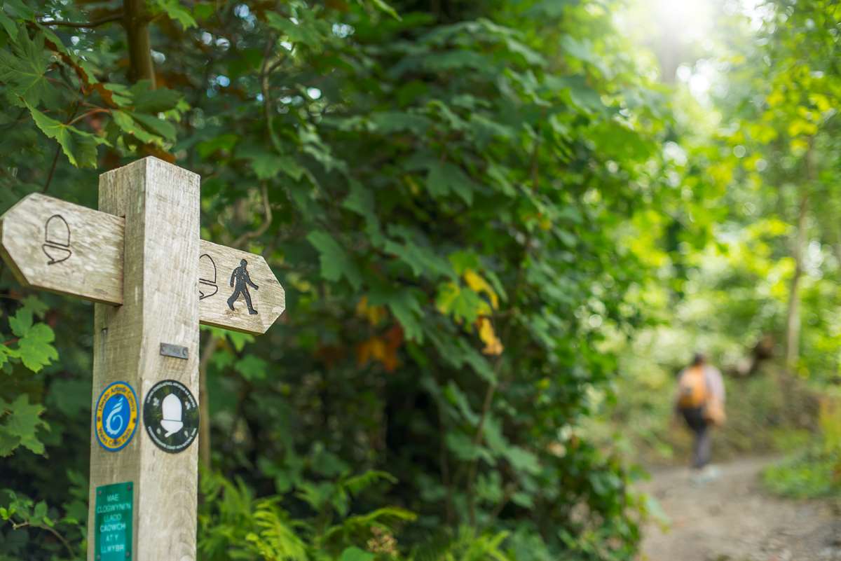 saundersfoot wheelchair trail