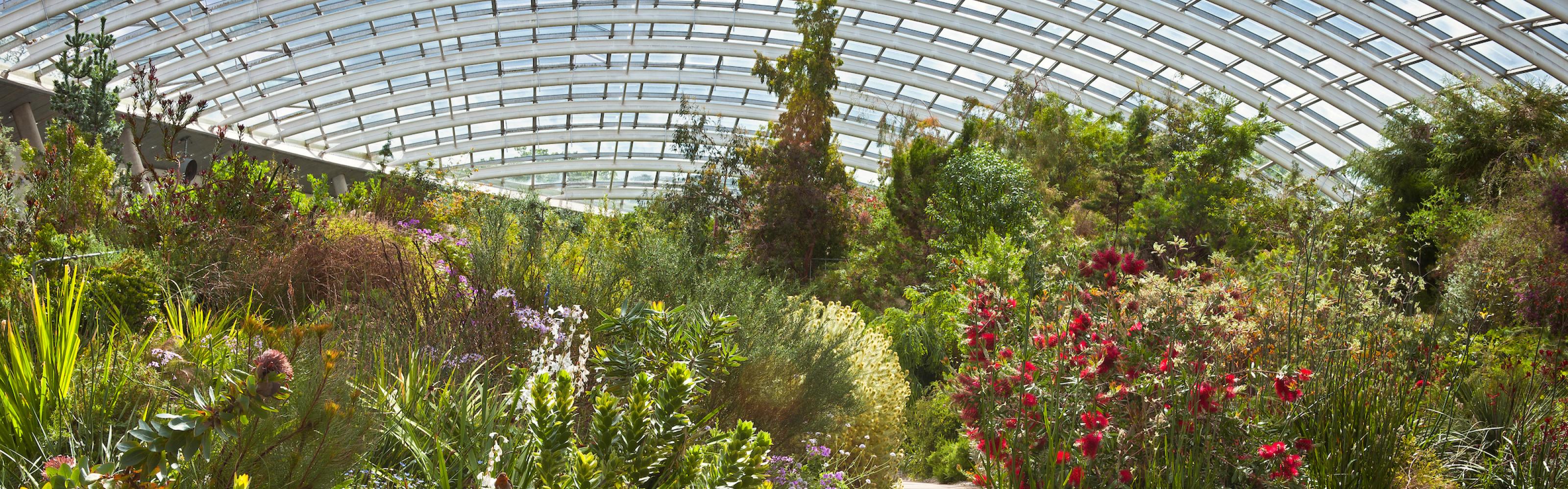 botanic gardens of wales