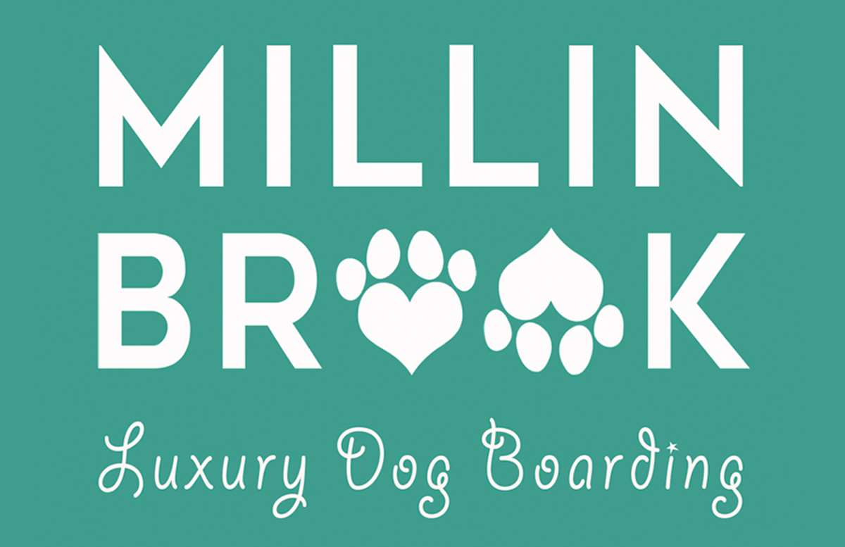 Millin Brook Luxury Dog Boarding