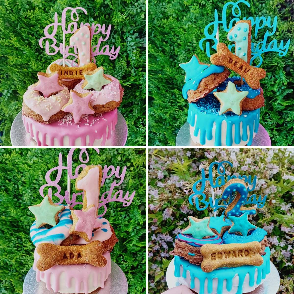 Celebration cakes for dogs