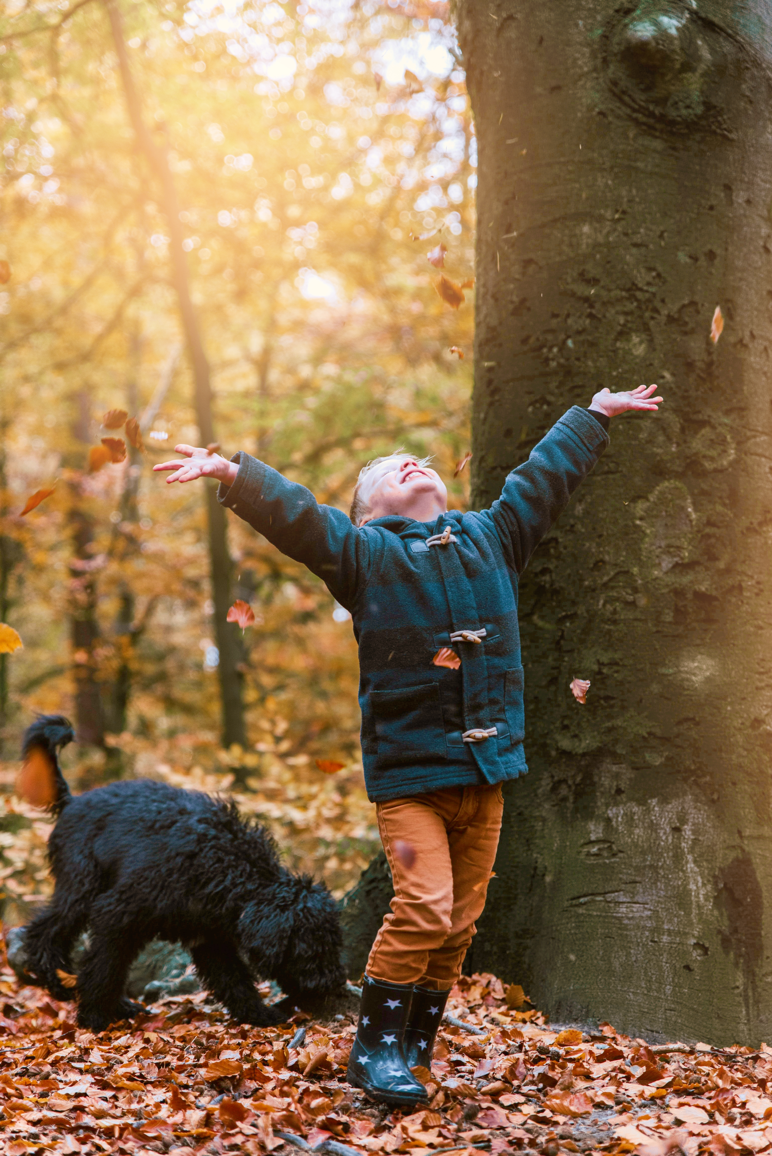 Autumn Walks in Pembrokeshire