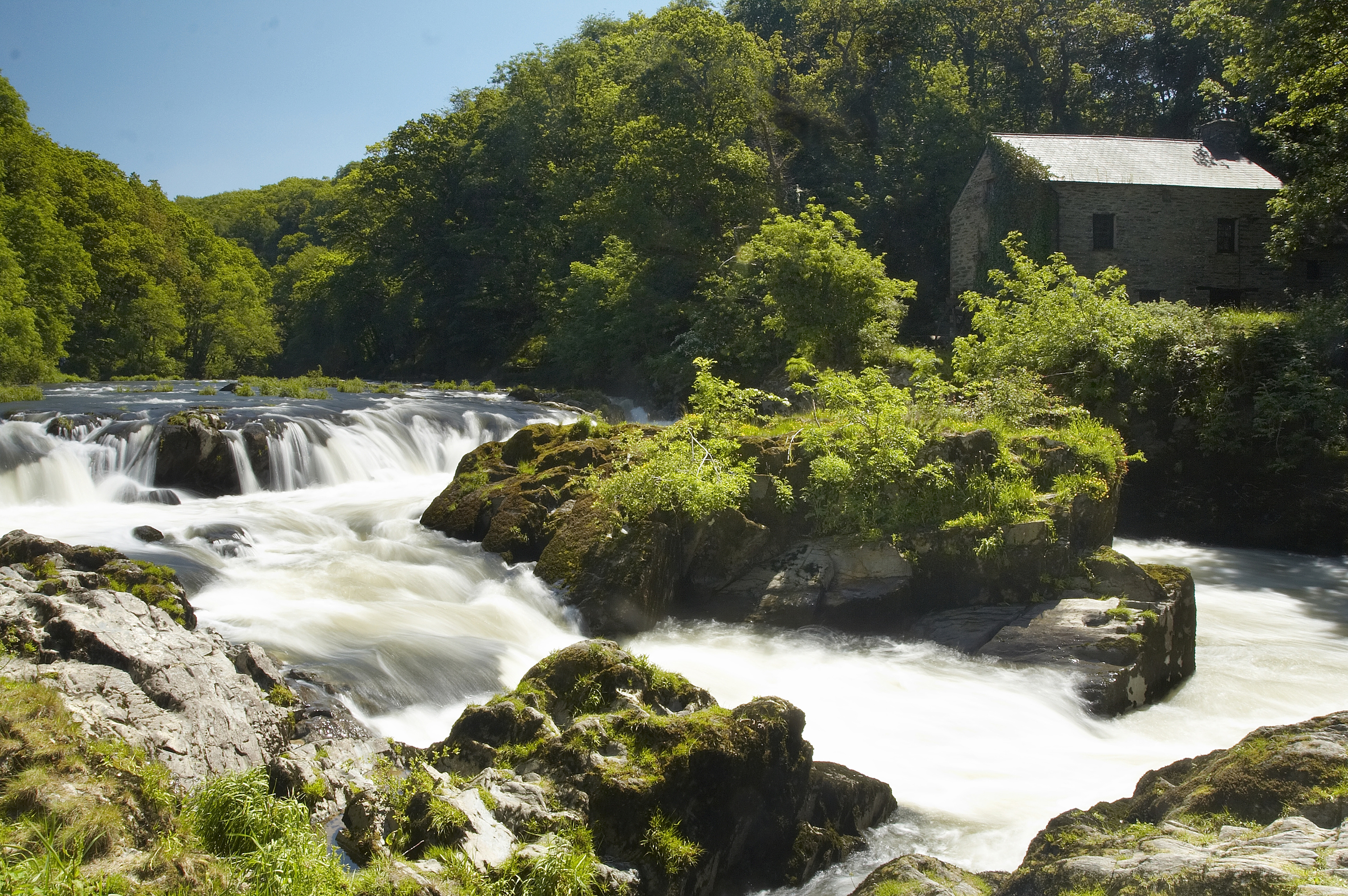 Cenarth