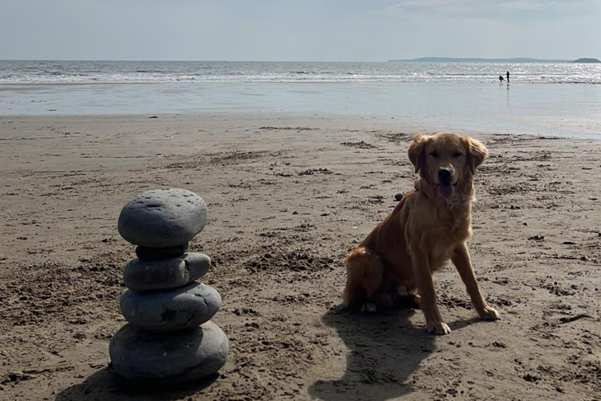 Dog on Amroth Beach next to rock sculpture