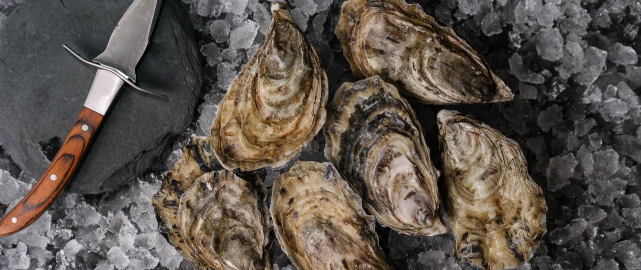 Oysters from St Davids Peninsula Food Market