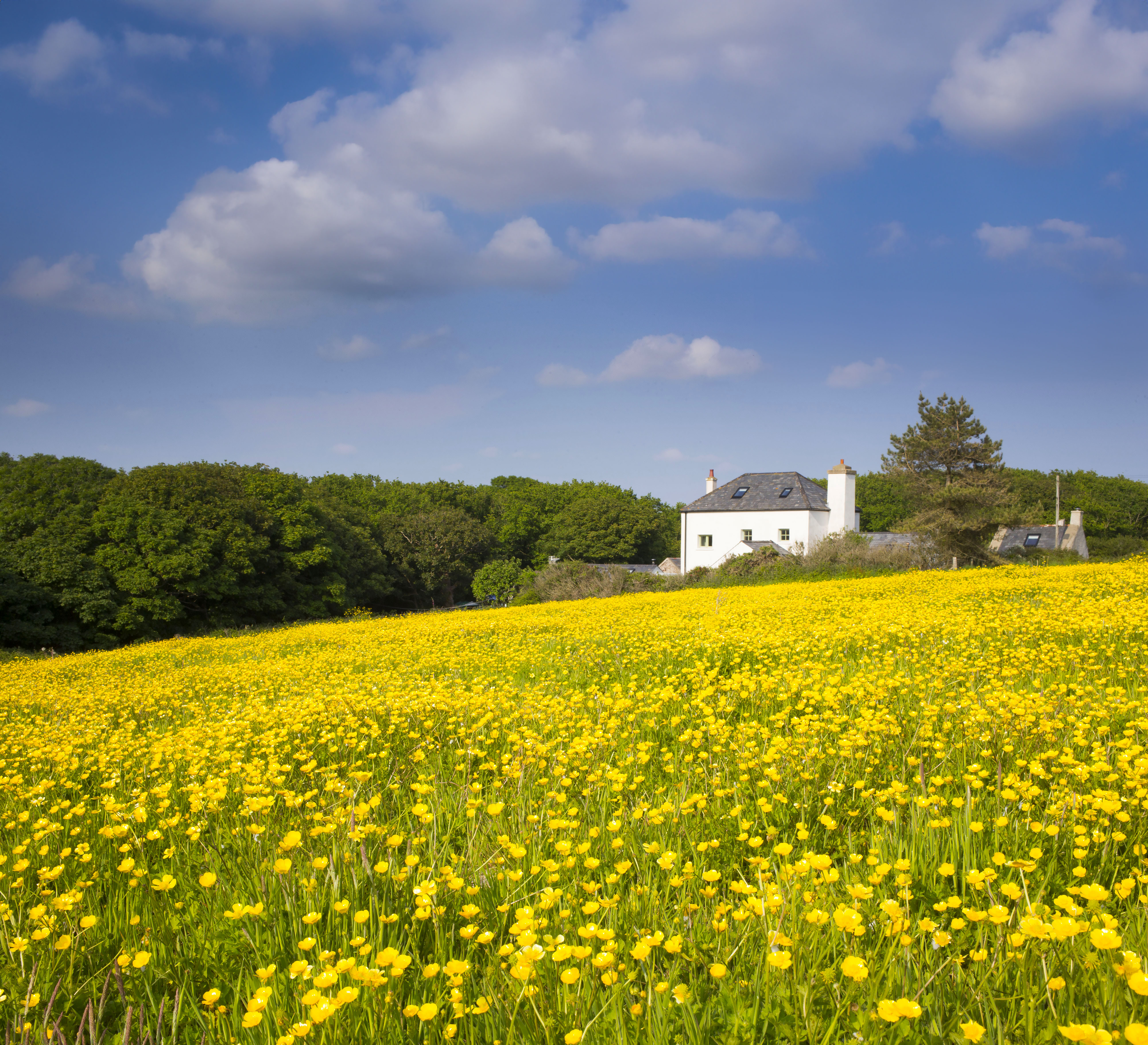 Letting your holiday cottage in Pembrokeshire