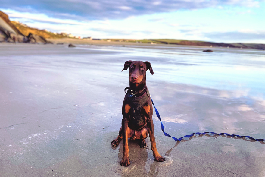 Broad Haven