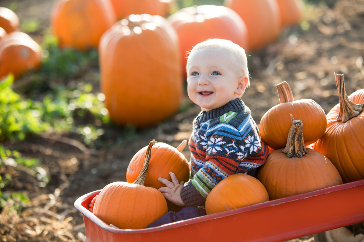 Child with Pumpkins
