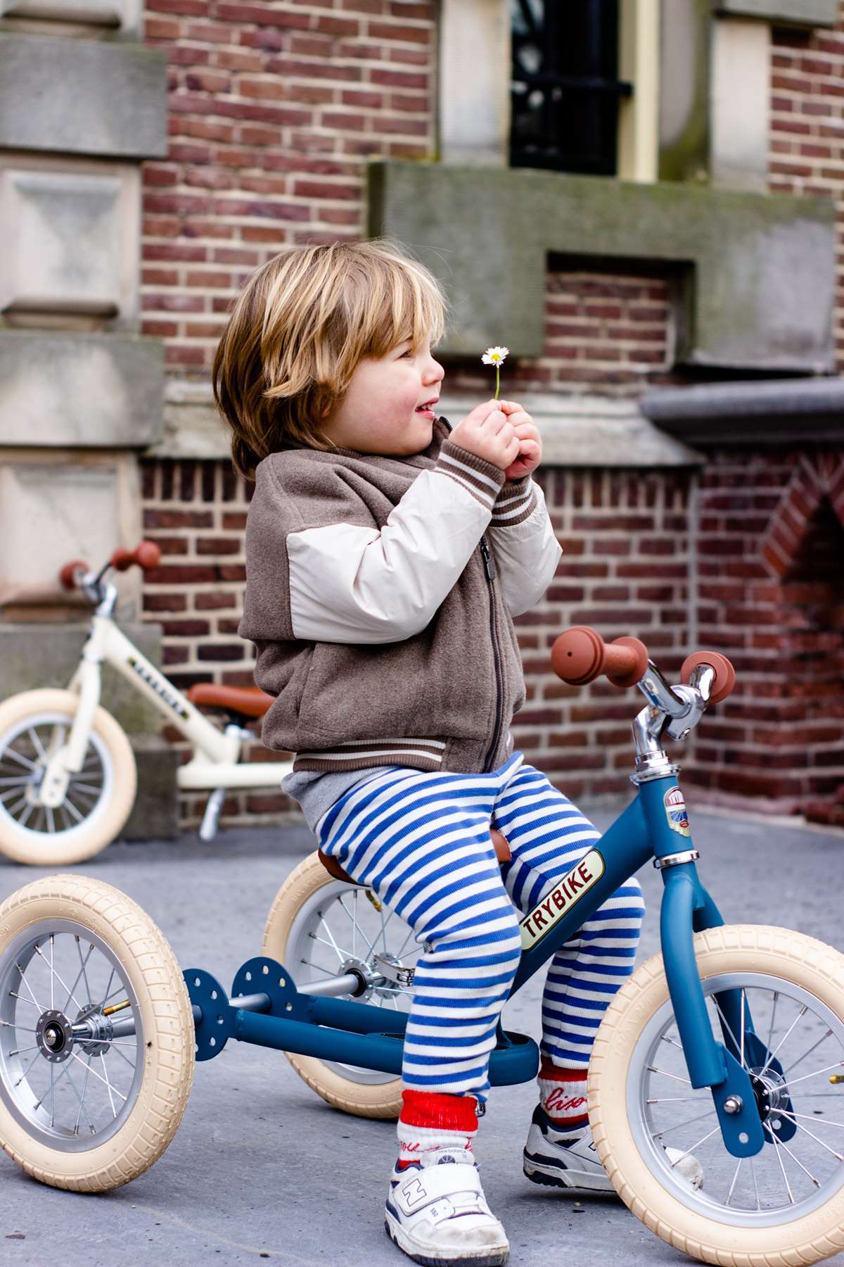 Hippy Chick trybike